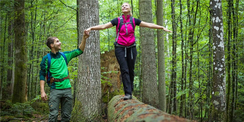 Olfen will große Waldfläche weiterentwickeln - jetzt aber ohne Rinder Olfen will große Waldfläche weiterentwickeln - jetzt aber ohne Rinder