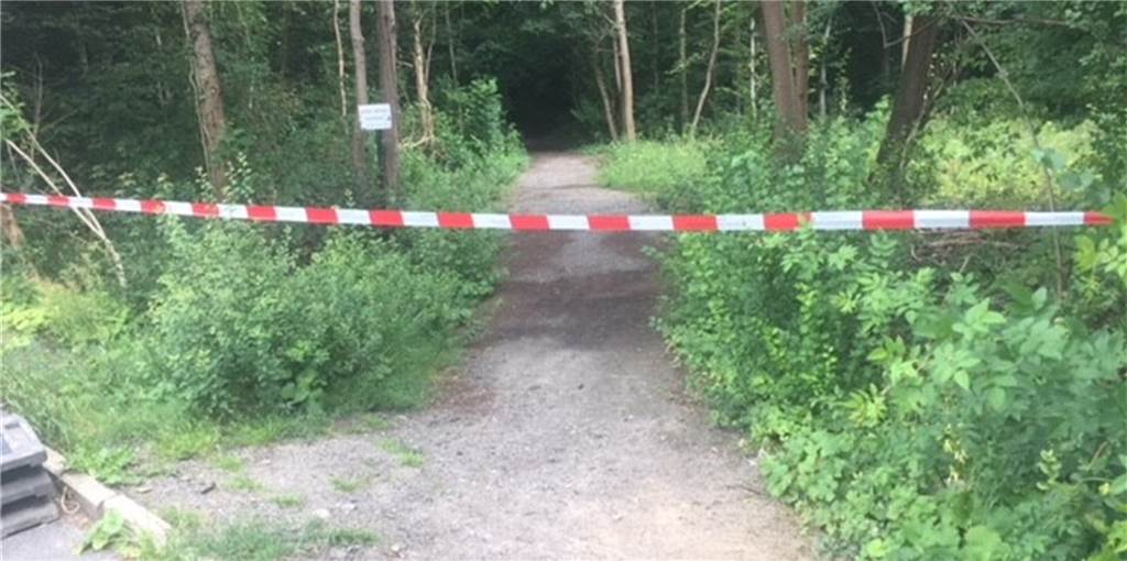 Illegal entsorgter Grünschnitt in Beckinghausen: 40 Anwohner bekamen Post Im Privatwald in Beckinghausen sind auf 50 Quadratmetern illegal Gartenabfälle abgekippt worden. Der Berg ist 1,50 Meter hoch.
