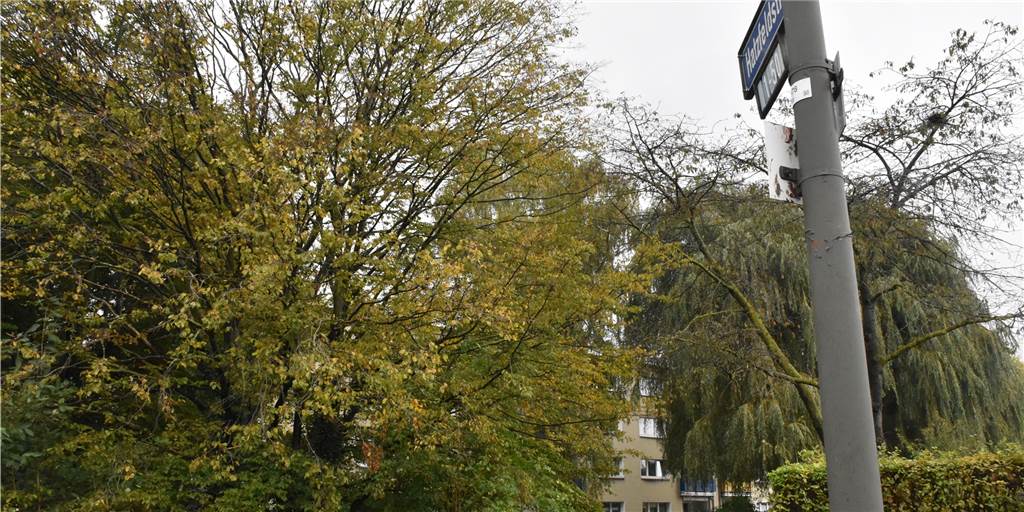 „Nacht des Horrors“: Nach Bluttat regiert die Angst in Dortmunder Wohngebiet Auf einem Verbindungsweg zwischen der Hatzfeldstraße und der Straße Pleckenbrink ist am 26.8.2020 ein Mann erstochen worden.