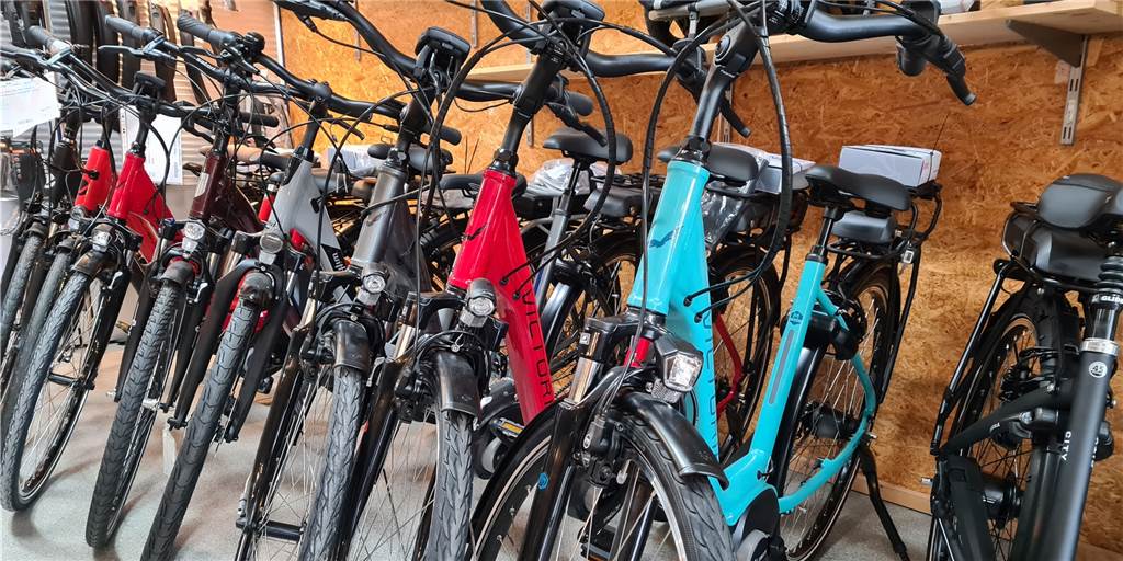 Die Fahrradhändler haben ihre Läden zwar gefüllt, aber nicht immer ist das Wunschrad des Kunden dabei.