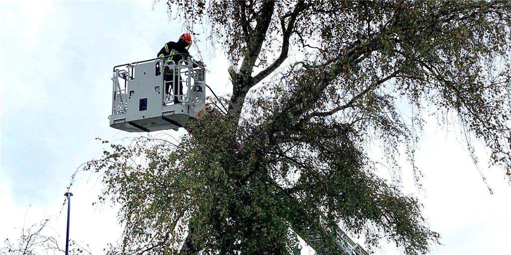 Einsatzkräfte in Schwerte im Dauereinsatz: Bäume auf Straßen – Züge fallen aus Von der Drehleiter aus zersägte die Feuerwehr an der Tulpenstraße in Westhofen eine Birke, die umzukippen drohte.