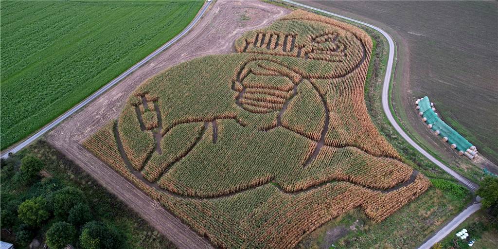 Berühmtes Mais-Labyrinth in Bork verwandelt sich in Halloween-Labyrinth Nach Halloween ist das Maislabyrinth aus Selm Geschichte.