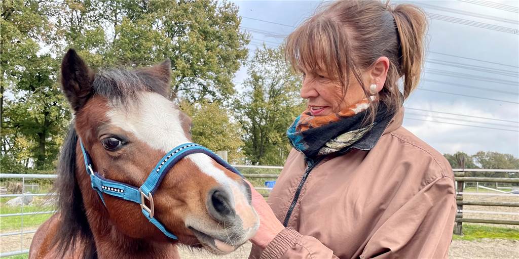 Pony-Besitzer in Angst: „Wann taucht das Wolfsrudel hier auf?“ Cornelia Schwankl sorgt sich um ihre Ponys, nachdem es zuletzt in Hünxe und Kirchhellen fünf Wolfsrisse gegeben hat.