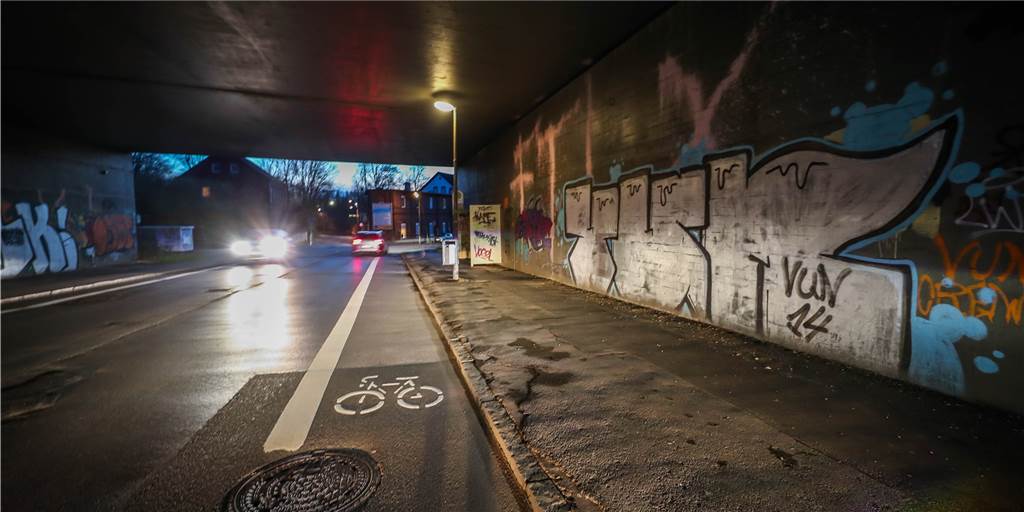 Tauben-Sauerei im „Ekel-Tunnel“ könnte bald Vergangenheit sein Im Autobahn-Tunnel am Lütgendortmunder Hellweg könnte das massive Problem mit Taubenkot bald endgültig gelöst sein.