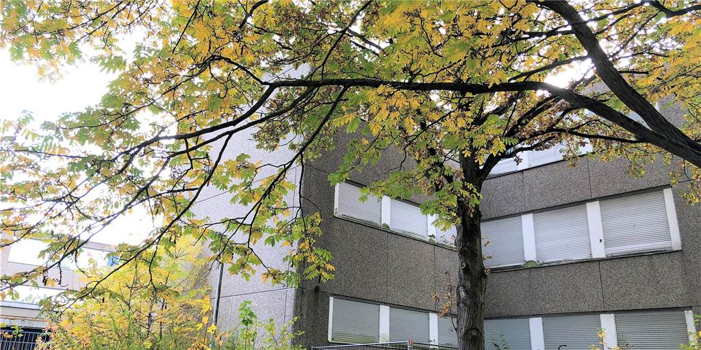 Müll, Graffiti, Vandalismus: Anwohner wollen Schandfleck loswerden Die ehemalige Dortmunder Hauptschule soll möglichst schnell abgerissen werden. Wann auf diesem Areal neue Wohnungen gebaut werden, steht noch in den Sternen.