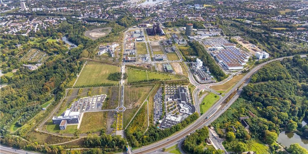 Zum Schutz der Kreuzkröte: Regenstaubecken auf Phoenix-West werden erneuert Regenstaubecken am Rande des Landschaftskeils haben einen zu geringen Wasserstand.