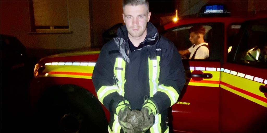 Freiwillige Feuerwehr ist im Dortmunder Westen als Tierretter gefragt Die Freiwillige Feuerwehr rettete einen Igel.