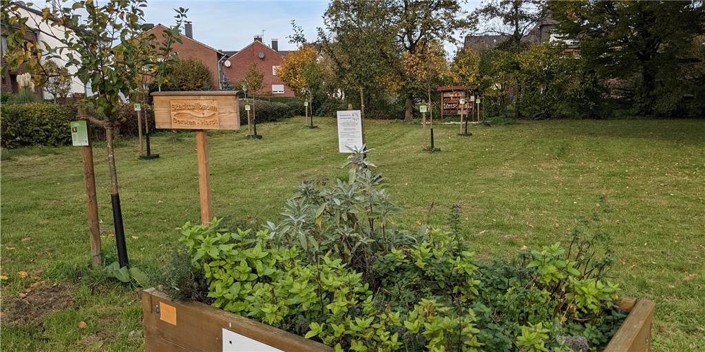 Grünzug in einem Stadtteil von Dorsten wird zum „Pestalozzi-Park“ Ein Teilbereich des neuen Pestalozzi-Parks.