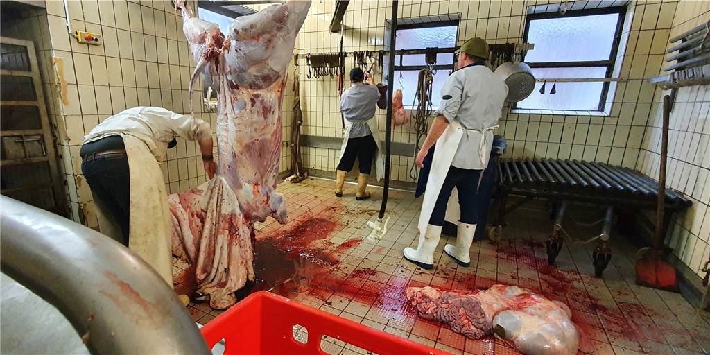 Eine Schlachtung gehört einfach dazu, wenn man Fleisch essen möchten. 