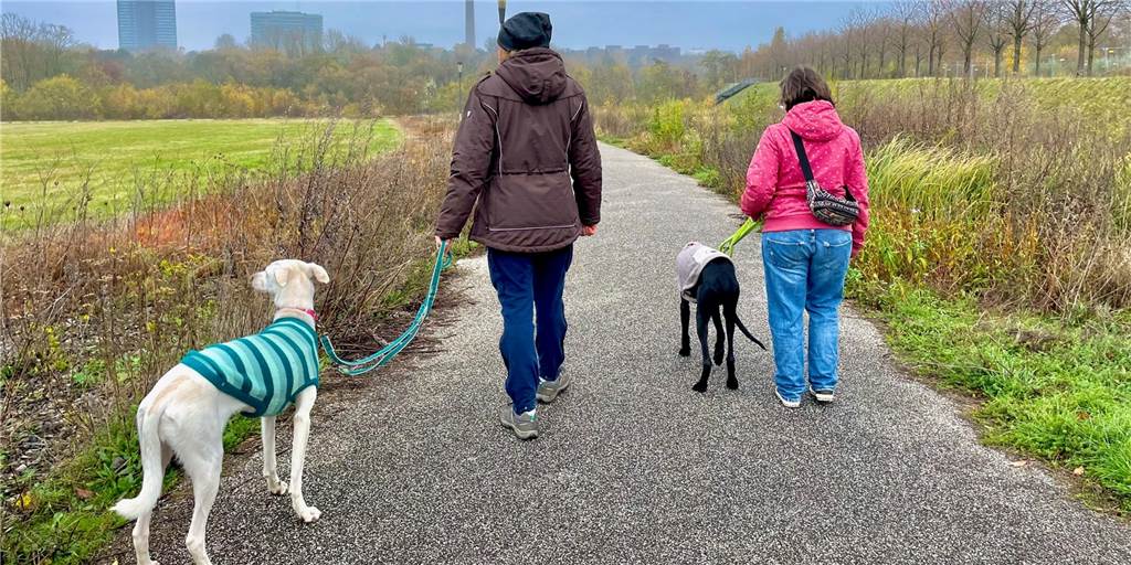 Hund nicht angeleint? Auf Phoenix-West kann das jetzt teuer werden Auf Phoenix-West müssen die Hunde angeleint werden. Während sich ein Großteil daran hält, gibt es immer wieder schwarze Schafe unter den Hundebesitzern.