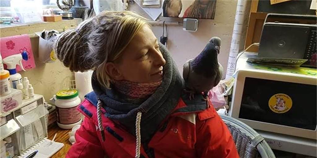 Verletzte Wildtiere: Tierschutz-Garten sucht verzweifelt neues Zuhause Vivi in ihrer Wohnung: Hier päppelt sie auch schon einmal verwaiste oder verletzte Tiere auf.