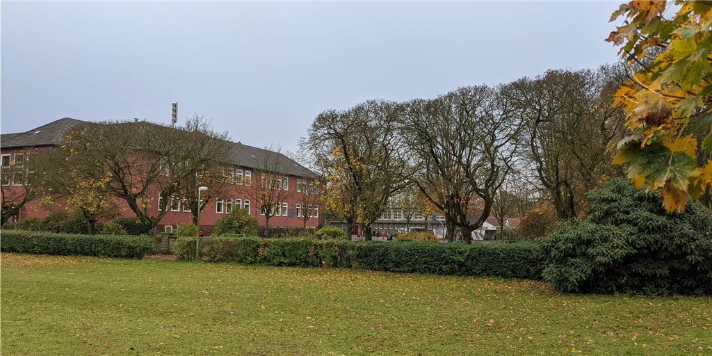 Raumnot: Die nächste Grundschule in Dorsten soll Container bekommen Die Schul-Container sollen in dieser Ecke der Grünanlage neben dem Schulhof der Augustaschule aufgestellt werden.