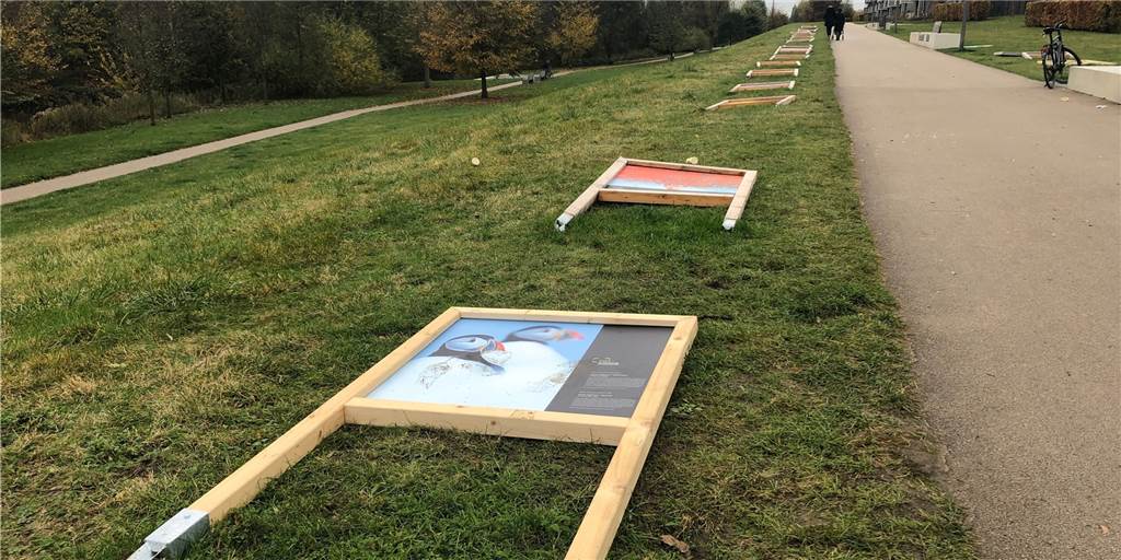 Vandalismus im Lüner Park: Unbekannte zerstören Naturfoto-Ausstellung Die Plakate im Flusspark liegen am Boden, unbekannte Vandalen haben sie umgerissen.