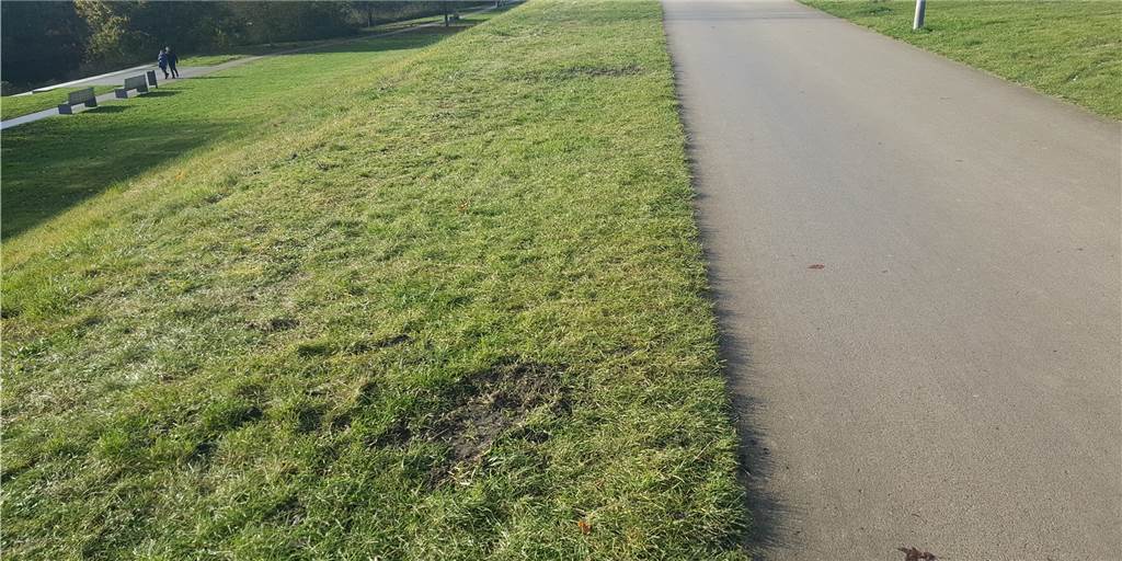 Vandalismus an Naturfoto-Ausstellung in Lünen: Wie geht es jetzt weiter? Im Flusspark erinnern nur noch einige Spuren auf dem Rasen an den Vandalismus-Vorfall vom Wochenende.