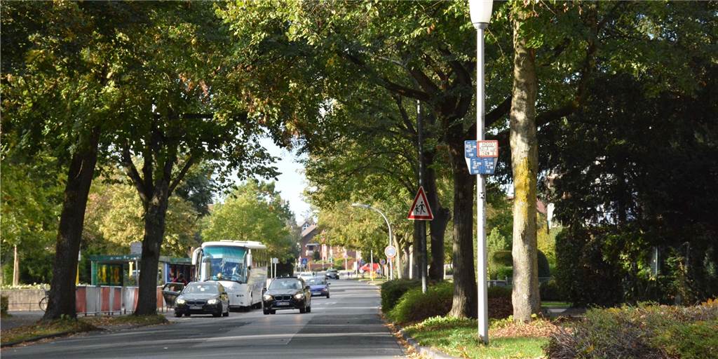 Haltern als besondere Stadt für Fußgänger und Radler - Pläne vorgestellt Entsiegeln, begrünen und als Fahrradstraße ausweisen - so würden die Planer die Holtwicker Straße umgestalten.