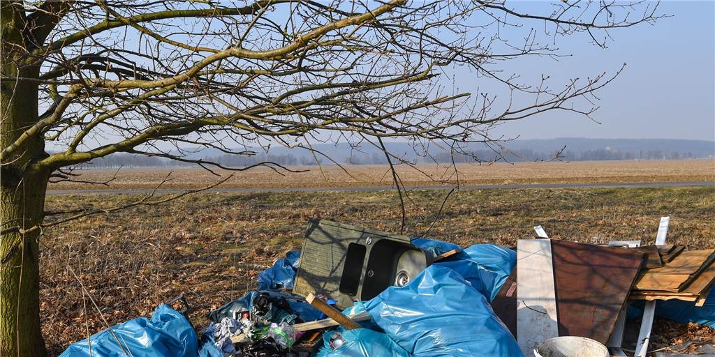Illegale Müllkippen in Selm: hohe Geldstrafe für Umweltsünder Immer wieder kommt es vor, dass Müll einfach in der Landschaft entsorgt wird (Symbolbild) - auch in der Stadt Selm. Sie versucht dann, die Verursacher zu ermitteln.