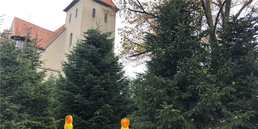 Video-Rundgang: Der Glitzerwald Selm nach der Absage Der Glitzerwald Selm ist abgesagt.