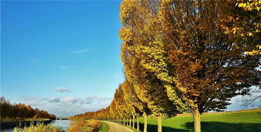 Spektakuläre Fotos: So schön ist Dortmund im Herbst Ein Postenkartenmotiv: Bunt sind die Bäume am Dortmund-Ems-Kanal.