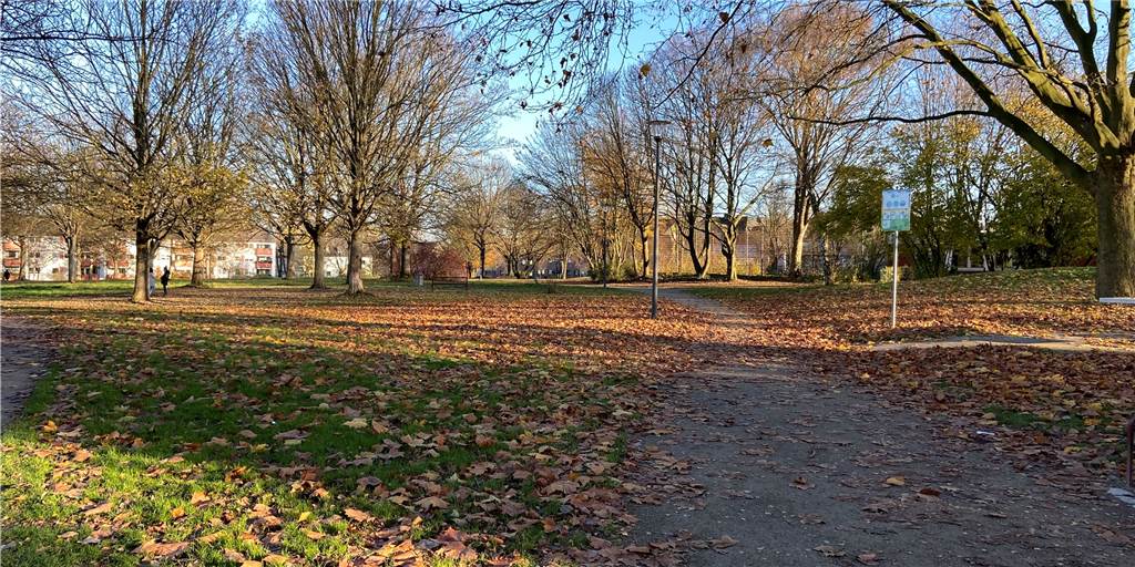 Sport unter freiem Himmel: Fitness-Park im Dortmunder Westen geplant Im Gustav-Heinemann-Park in Dortmund-Huckarde sollen Sportgeräte gebaut werden, gefördert von der EU.