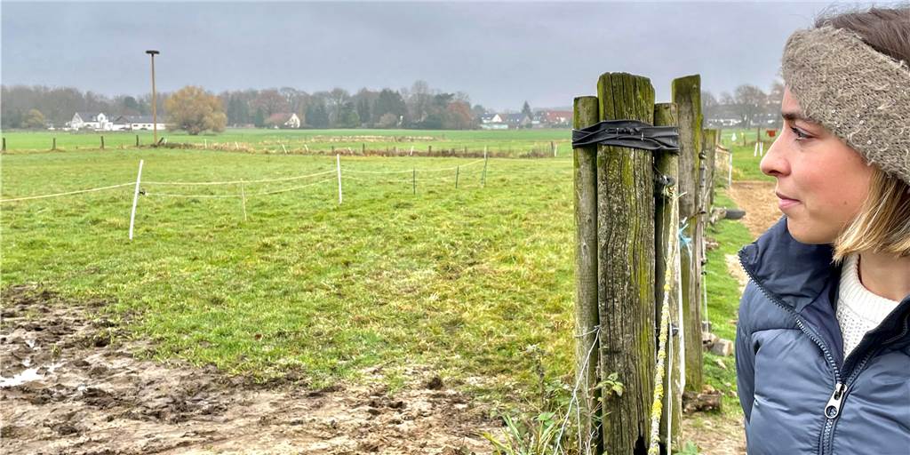 Neue Begegnung mit Wölfen in Dorsten: „Die hatten keine Scheu!“ Tammy Neumann und ihr Freund sahen am Montagabend in der Nähe des Hardter Storchennestes drei Wölfe. Die Raubtiere waren überhaupt nicht scheu.