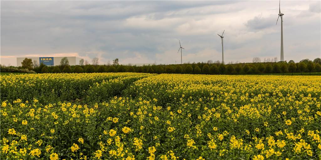 Dortmund klimaneutral bis 2045? Grüne und CDU wollen schneller sein CDU und Grüne wollen die Klimaziele für Dortmund weiter verschärfen.