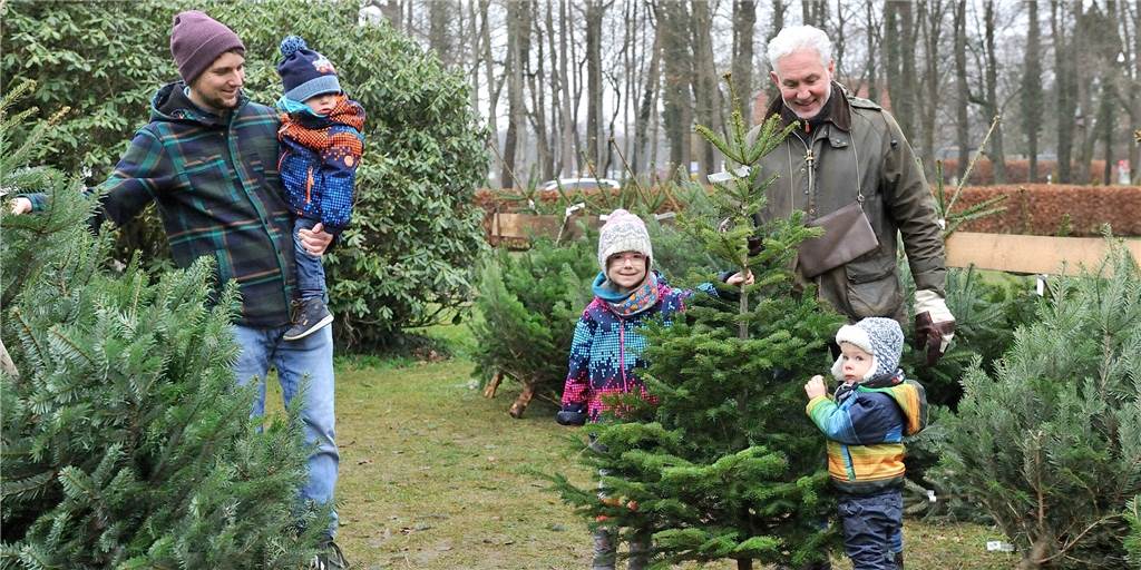 Nordmanntanne & Co.: Hier gibt es in Haltern Weihnachtsbäume Im Schloss Sythen werden in diesem Jahr an zwei Tagen Weihnachtsbäume verkauft.