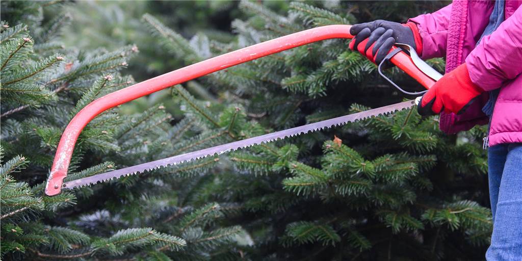 Weihnachtsbaum-Verkauf in Werne: Alle Infos zu Verkauf und Öffnungszeiten Hier gibt es Weihnachtsbäume in Werne.