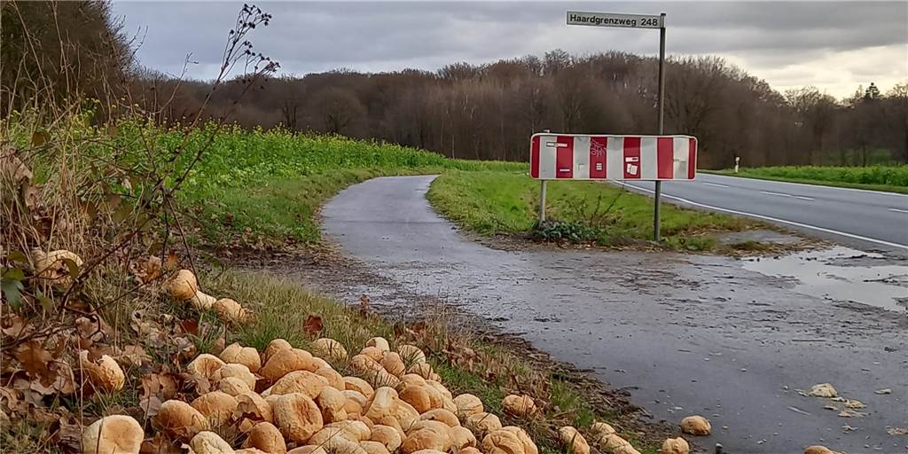 Hunderte Brötchen an der Sinsener Straße in Oer-Erkenschwick entsorgt Hunderte Brötchen an der Sinsener Straße in Oer-Erkenschwick entsorgt