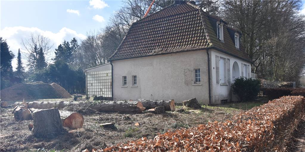 Nachbarin des Borker Gärtnerhauses: „Mit uns hat niemand gesprochen“ Nachbarin des Borker Gärtnerhauses: „Mit uns hat niemand gesprochen“