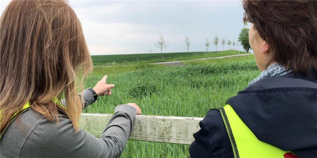 Industrie- und Gewerbegebiet in Werne: Das müssen Sie vor dem Bürgerentscheid wissen Das Industrie- und Gewerbegebiet soll auf einer Fläche nördlich der Nordlippestraße entwickelt werden.