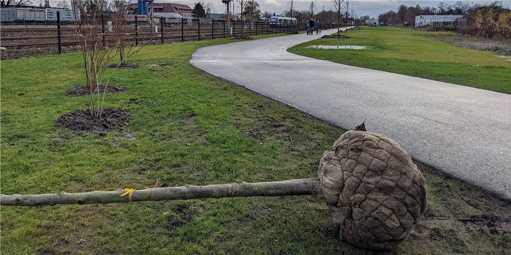 Neuer Fuß- und Radweg entlang der Bahngleise in Dorsten zum Teil frei Die neue innerstädtische Rad- und Fußwegverbindung entlang der Bahngleise nahe der Feldhausener Straße.