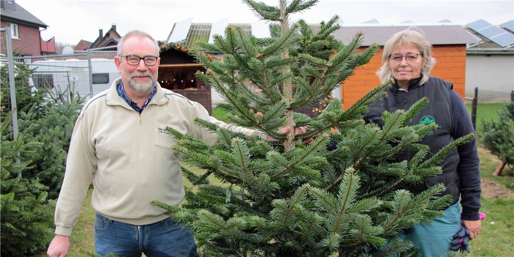 Mit Video: Weihnachtsbaum-Verkauf in Werne schon in der 4. Generation Frisch aus dem Sauerland bekommen Andreas und Katja Löcke ihre Bäume, fast ausschließlich Nordmann-Tannen.