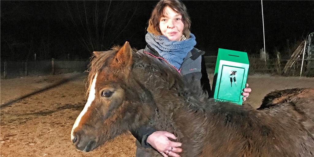 Dieb gibt gestohlene Spendenbox samt Inhalt nach sechs Jahren zurück Kirsten Remmers-Boruzki freut sich über die zurückgegebene Spendenbox. Das Geld kommt Tieren wie Holiday zugute.