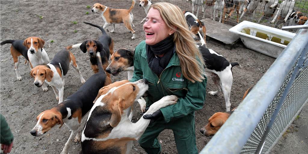 Meute aus Cappenberg: Wo Reiter mit 37 Hunden auf die Jagd gehen Claudia Schröder arbeitet als Pflegerin des Schleppjagdvereins. Sie ist jeden Tag auf der Anlage - in der Regel zusammen Mit einem Kollegen, der zurzeit aber im Urlaub ist. Deshalb springt Huntsman Funke ein.