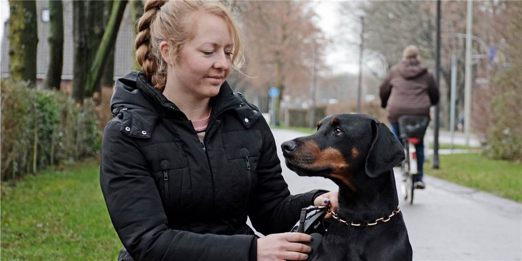 Sonja Lanfer (32): Stadtlohnerin verlor mit elf ihr Herz an den Dobermann Ein Champion und seine stolze Besitzerin: Dobermann Franyo hat dem Lebensweg von Sonja Lanfer eine neue Richtung gegeben.