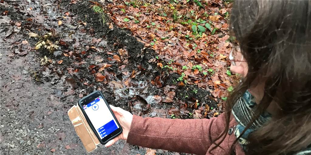 Natur-Unterricht: Waldschule Cappenberg bietet interaktive Wald-App Mit einer App kann man einen interaktiven Wald-Spaziergang in Cappenberg machen.