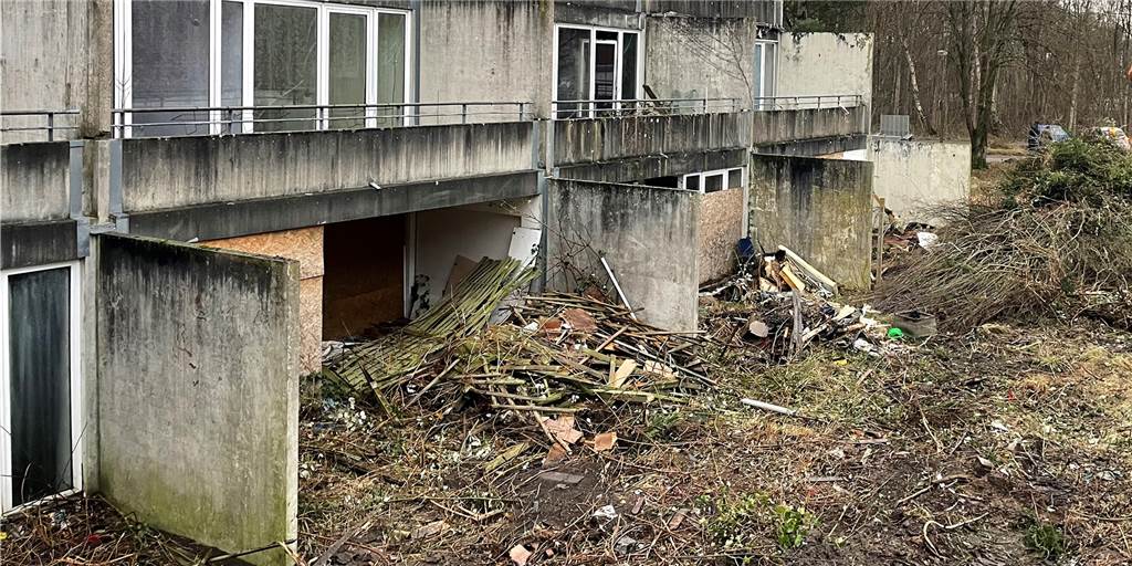 Jetzt geht’s los: Rodungsarbeiten am abrissreifen Wulfener Markt Rodungsarbeiten hinter den ehemaligen Wohnhäusern am Wulfener Markt