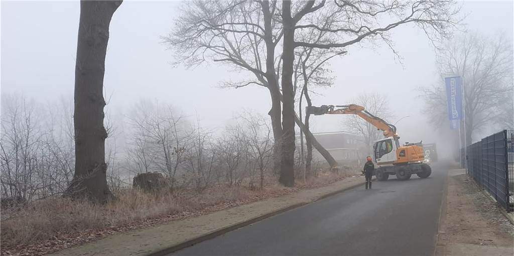 Kahlschlag am Schützenweg: Polizei hat Auftraggeber ermittelt Dieses Foto hat ein Anwohner am Samstag, 11. Dezember, während der Fällarbeiten am Schützenweg gemacht.