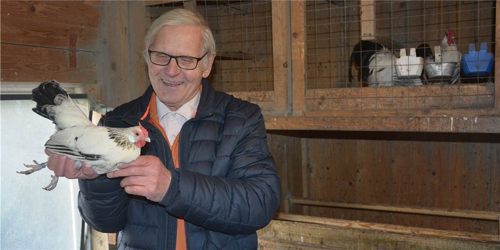 Aufstallpflicht trifft die Tiere von Geflügelfreunden in Stadtlohn Geflügelzüchter Eckart Ballenthin mit einer seiner Bantam-Hennen. Die Tiere mussten wochenlang im Stall bleiben.