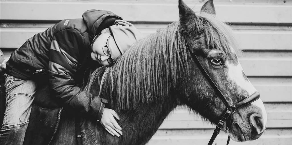 Fynn starb mit 13 Jahren: Jetzt erfüllt sich sein zweiter Herzenswunsch Ein Herz und eine Seele: Die Zeit mit Sportpony Tippex war für Fynn sehr wichtig. Solche Glücksmomente sollen alle schwerkranken Kinder erleben dürfen, war sein großer Wunsch.