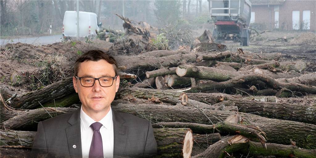 Kahlschlag-Gespräch: Bürgermeister will zuerst die Politiker informieren Bürgermeister Berthold Dittmann will in direkten Gesprächen mit den beteiligten Unternehmen erkunden, wie es zur Fällung der 25 Eichen auf dem städtischen Grundstück am.