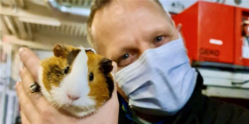 Nach tragischem Feuerwehreinsatz: Heiko Eigenbrodt adoptiert Meerschweinchen Emil Hauptbrandmeister Heiko Eigenbrodt und das Meerschweinchen Emil, das nach einem Einsatz ein neues Zuhause bekommen hat.