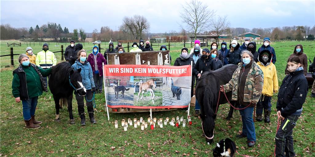 Nach Wolfsangriffen in Kirchhellen: Tierhalter sind besorgt Aus Kirchhellen, Schermbeck, Dinslaken oder Wesel sind besorgte Tierhalter zusammengekommen, um eine Mahnwache abzuhalten.