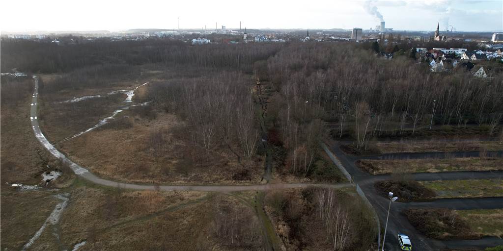 Rodungen auf Victoria-Brache: Darum müssen die Bäume fallen Die Rodungsarbeiten für die Baustraße auf der Victoria-Brache sind so gut wie erledigt.