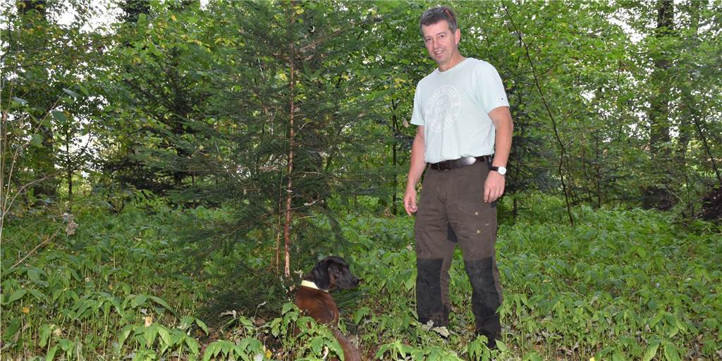 Gifthaare: Waldbesitzer Dieter Kuhne erringt vor Gericht Etappensieg Waldbesitzer Dieter Kuhne liegt im Clinch mit der Stadt. Weil er 21 Nester des Eichenprozessionsspinners nicht beseitigen wollte, zog er vor Gericht.