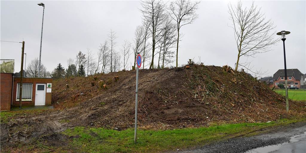 Die Rußrindenkrankheit hat neun Ahornbäume am Cappenberger Sportplatz so stark befallen, dass sie gefällt werden mussten.