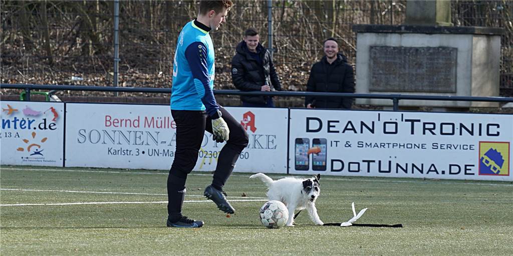 Hund läuft aufs Spielfeld: Balu unterbricht Bezirksliga-Partie zwischen SG Massen und Geisecker SV Hund läuft aufs Spielfeld: Balu unterbricht Bezirksliga-Partie zwischen SG Massen und Geisecker SV