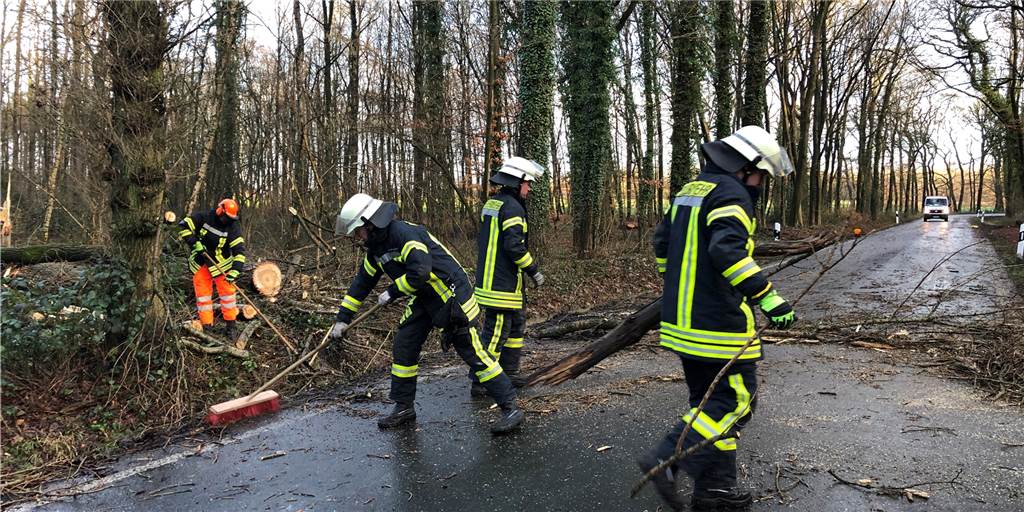 Sturmtief Ylenia und seine Folgen in Selm: Schulen dicht, Züge fahren nicht Gleich drei Bäume waren auf die Fahrbahn der Nordkirchener Straße unweit der Einmündung in die Neue Nordkirchener Straße gefallen. Die Feuerwehr räumte die Fahrbahn.