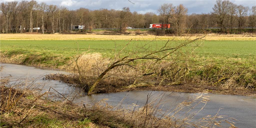 Sturm-Bilanz in Ascheberg: 3,50-Meter-Trampolin auf Gartenzaun, entwurzelte Bäume In Davensberg war der Emmerbach stark angeschwollen, das Unwetter überflutete die Auenlandschaft.