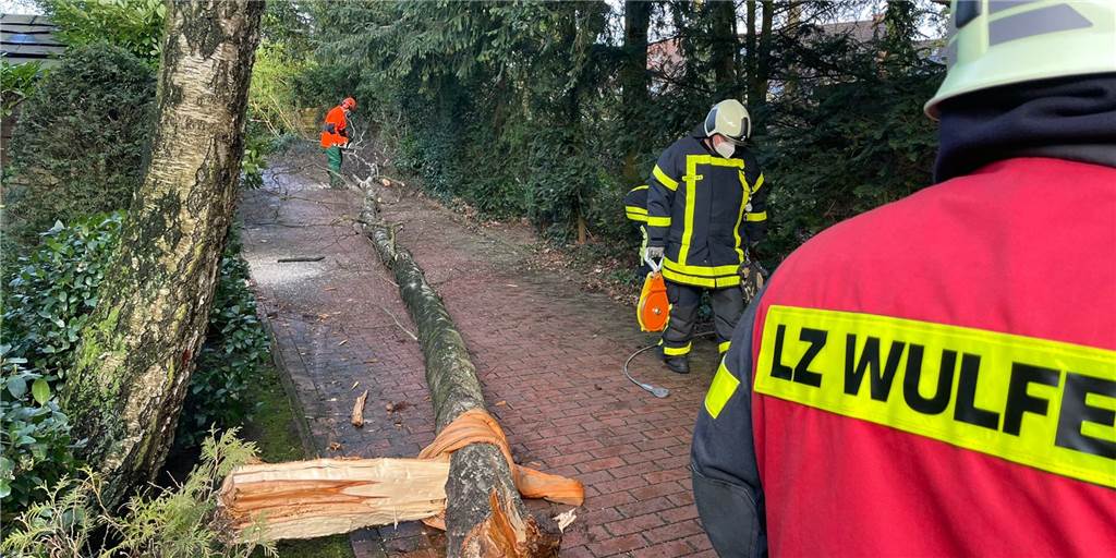 Sturm-Bilanz: Zeynep knickte viele Bäume um und riss Kronen heraus Die Feuerwehr musste einen umgefallenen Baum an der Sandkuhle in Wulfen-Barkenberg beseitigen.